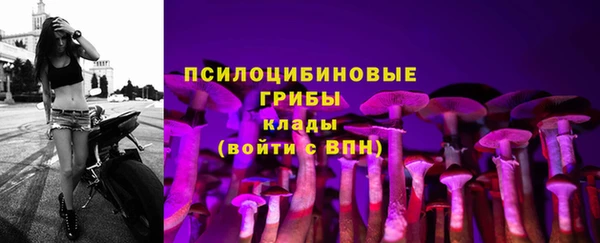 метамфетамин Майский
