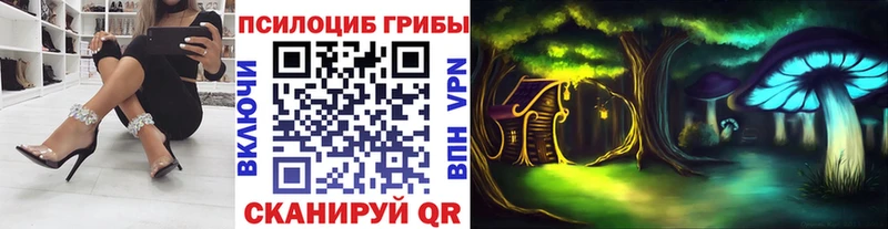 где найти наркотики  мега ONION  Псилоцибиновые грибы MAGIC MUSHROOMS  Петропавловск-Камчатский 