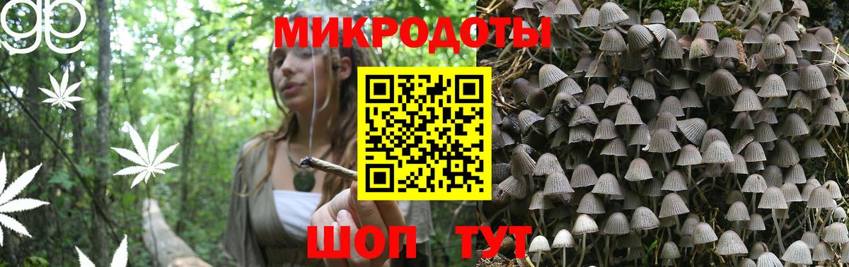 Галлюциногенные грибы Psilocybe  Вход с VPN  Галлюциногенные грибы MAGIC MUSHROOMS  Петропавловск-Камчатский 